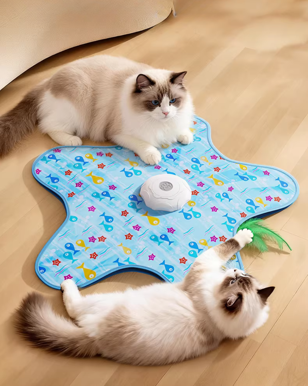 Interactive Hide & Seek Cat Toy with Automatic Motion & Feather