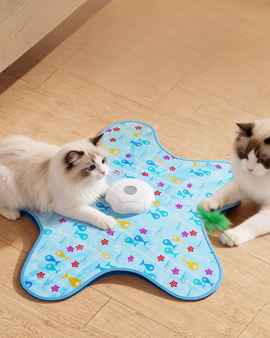 Interactive Hide & Seek Cat Toy with Automatic Motion & Feather