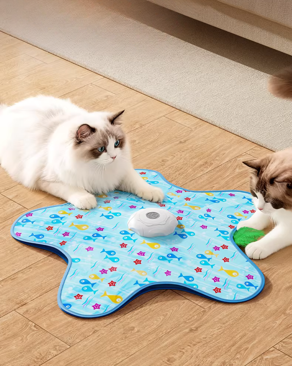 Interactive Hide & Seek Cat Toy with Automatic Motion & Feather